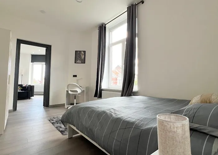 Renove Et Radieux A Bruxelles